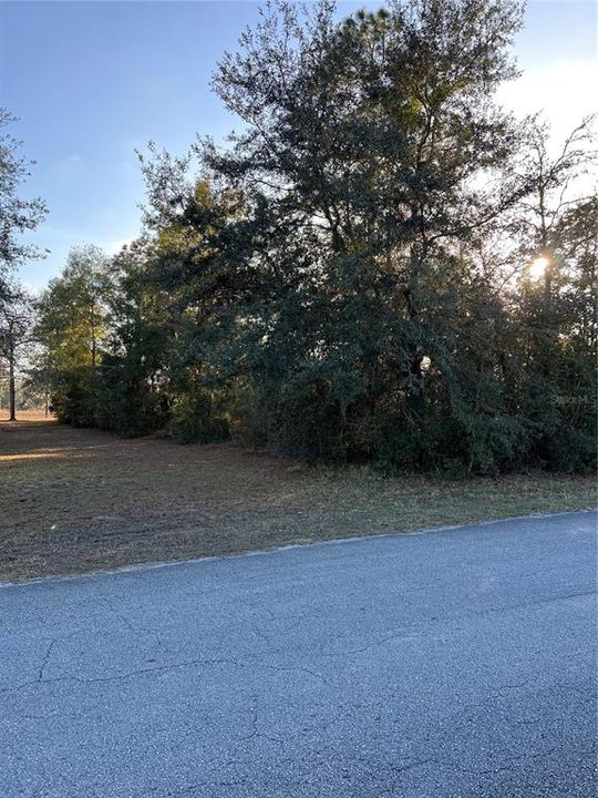 Recently Sold: $14,000 (0.31 acres)