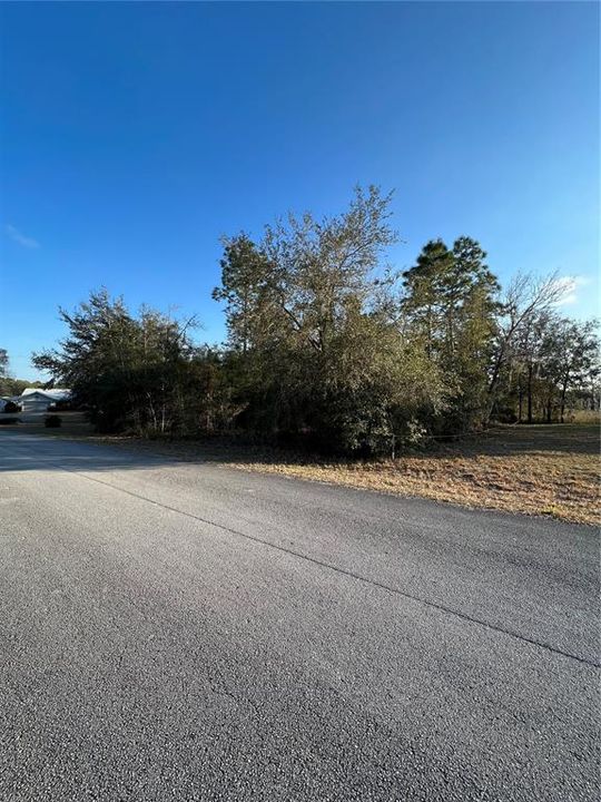 Recently Sold: $14,000 (0.31 acres)