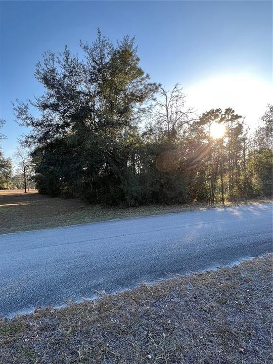 Recently Sold: $14,000 (0.31 acres)