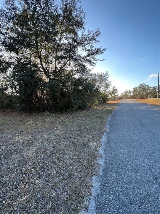 Recently Sold: $14,000 (0.31 acres)