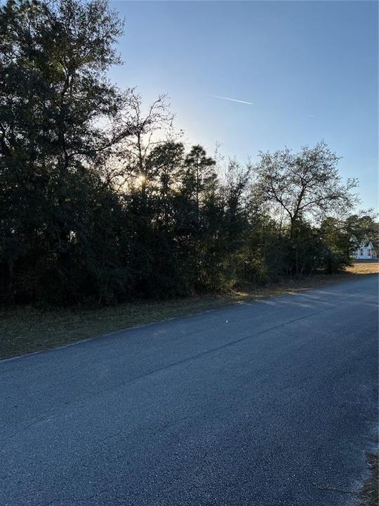 Recently Sold: $14,000 (0.31 acres)