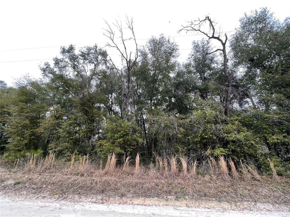 Vendido Recientemente: $13,500 (0.58 acres)