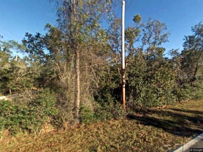 Power Pole on property