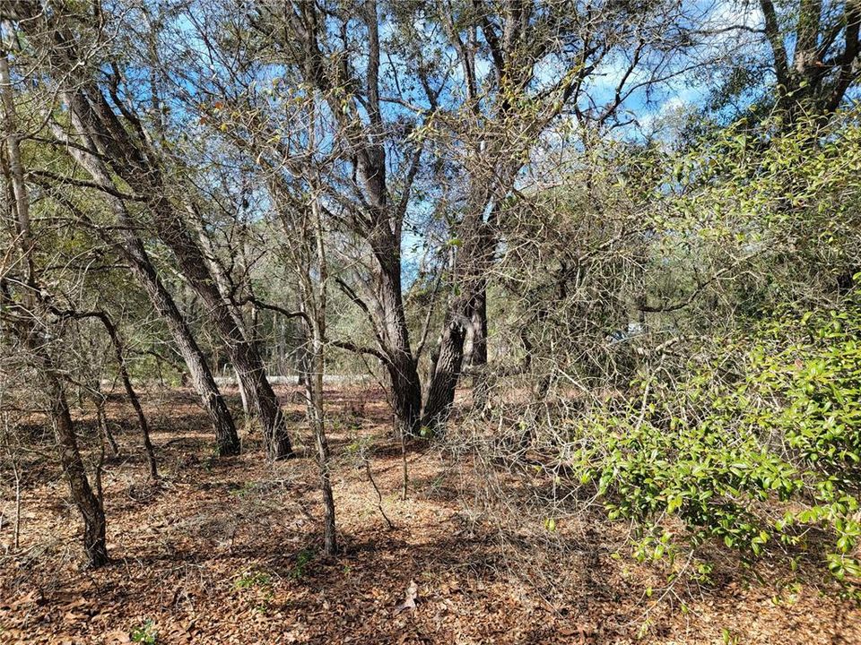 Recently Sold: $45,000 (2.35 acres)