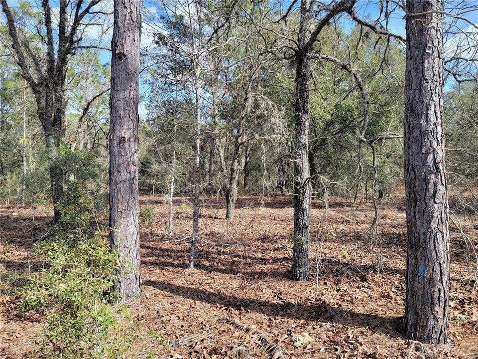 Recently Sold: $50,000 (2.67 acres)