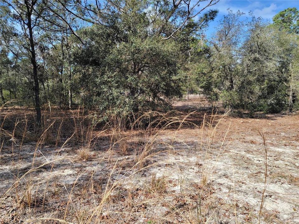 Vendido Recientemente: $50,000 (2.67 acres)