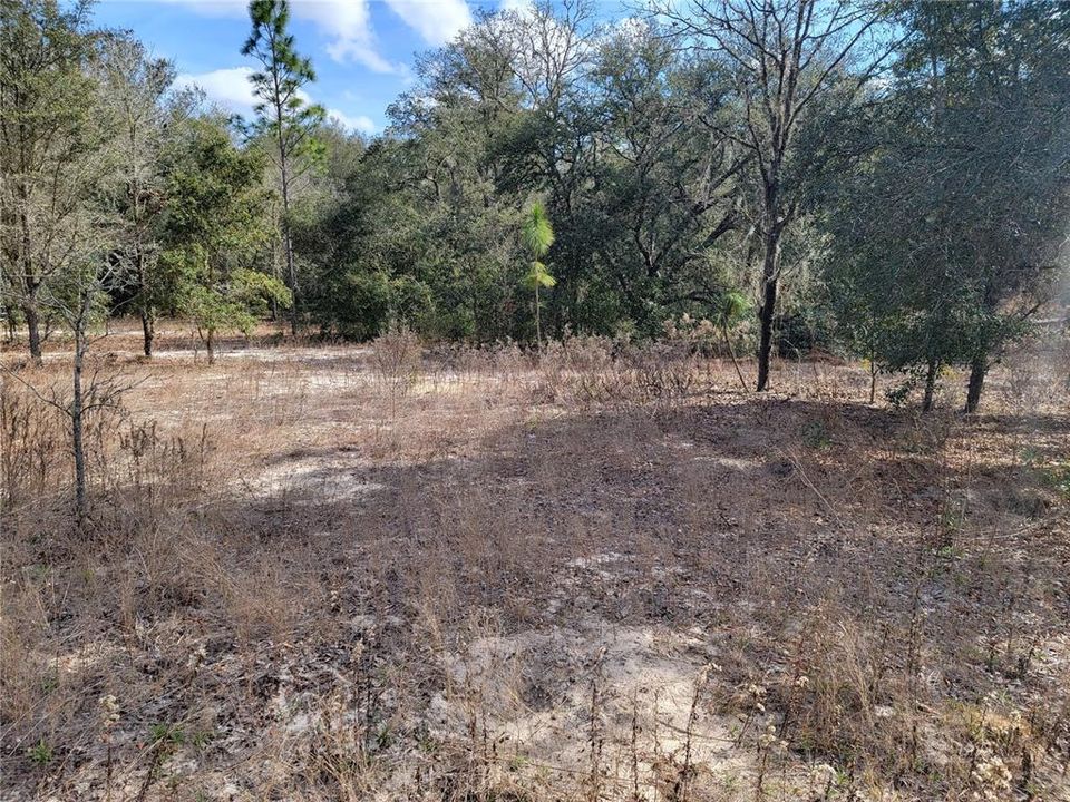 Vendido Recientemente: $50,000 (2.67 acres)