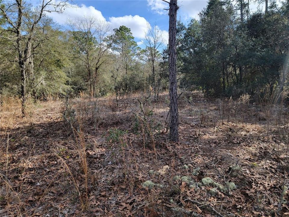 Recently Sold: $50,000 (2.67 acres)