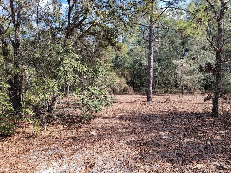 Recently Sold: $50,000 (2.67 acres)