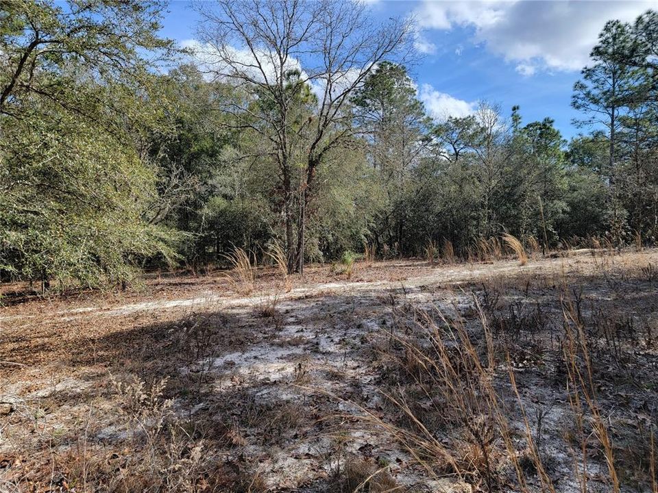 Recently Sold: $50,000 (2.67 acres)