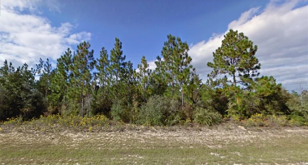 Recently Sold: $6,000 (0.26 acres)