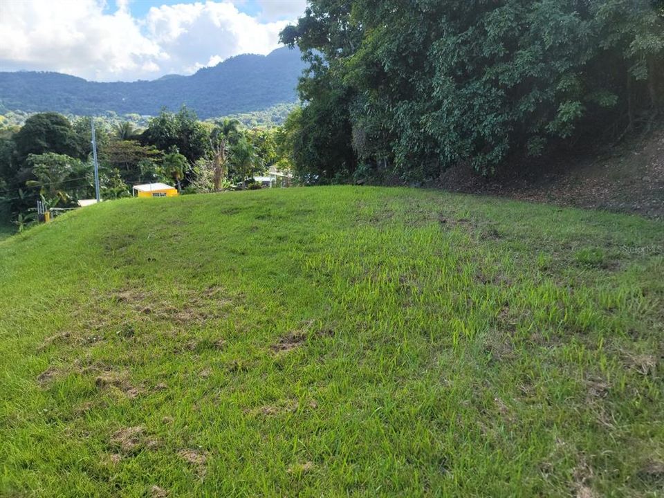 Vendido Recientemente: $65,000 (0.39 acres)