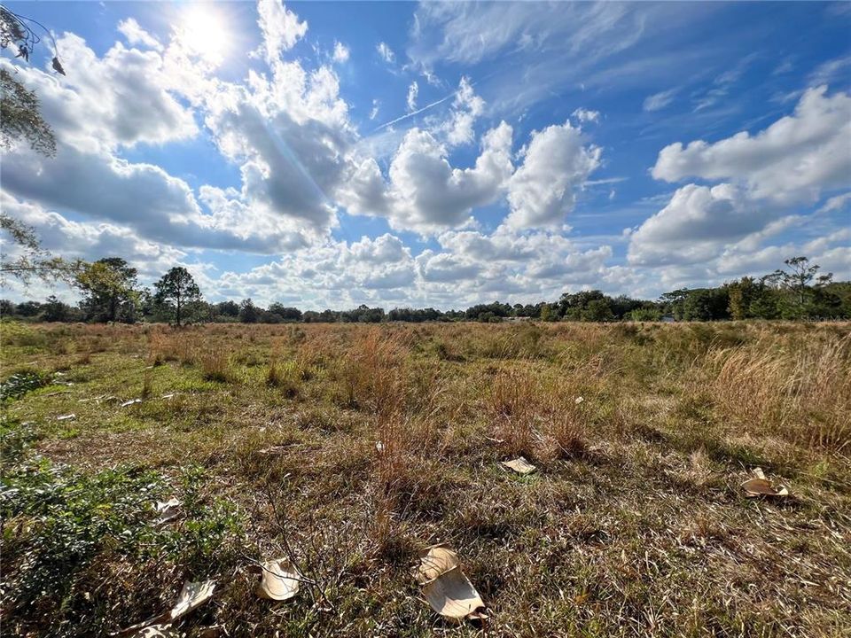 Recently Sold: $69,000 (5.06 acres)