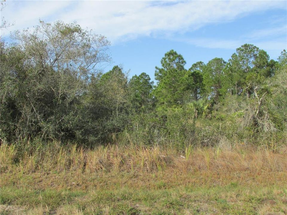 Recently Sold: $37,000 (1.00 acres)