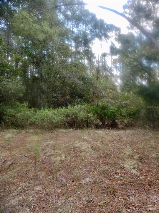 Recently Sold: $4,400 (0.23 acres)