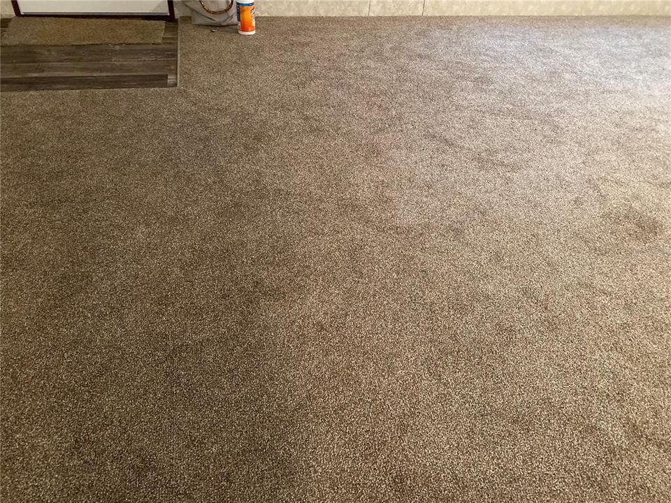Carpet in living room
