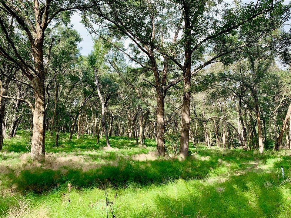 Недавно продано: $250,000 (7.22 acres)