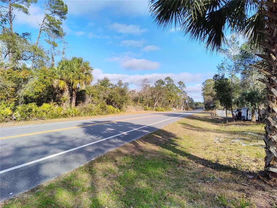CR 42 facing east from the front of this lot, Ocala National Forest to the left