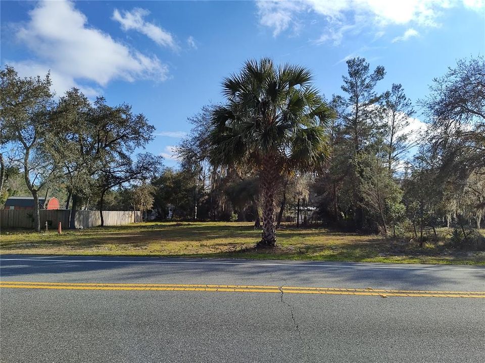Front of lot from edge of Ocala National Forest, facing south