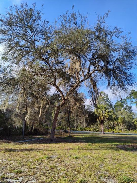 Recently Sold: $14,900 (0.17 acres)