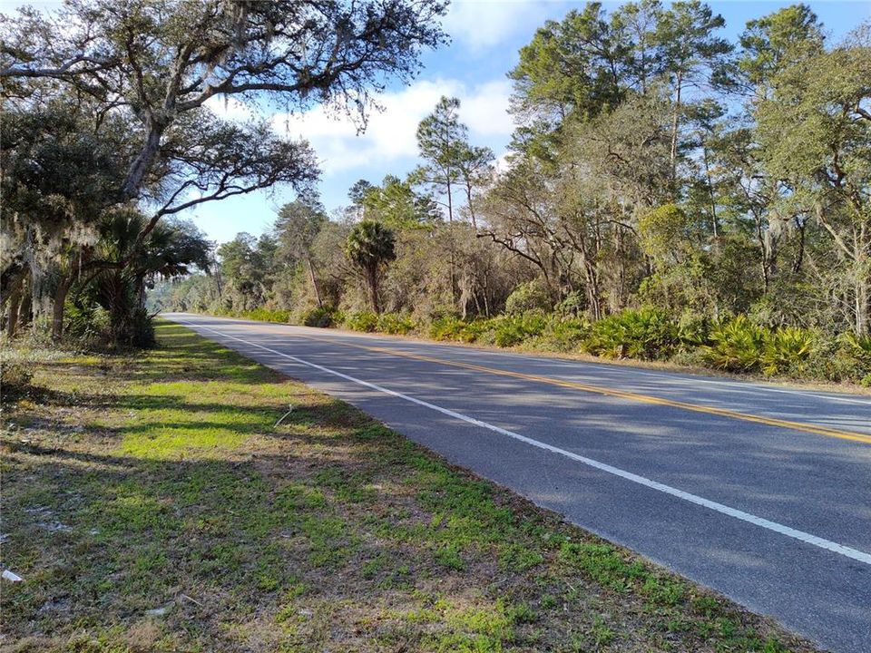 CR 42 facing west from the front of this lot, Ocala National Forest to the right