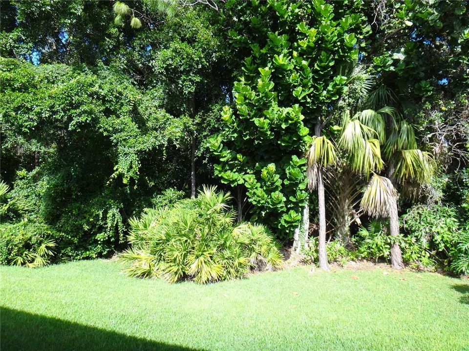 View off the lanai