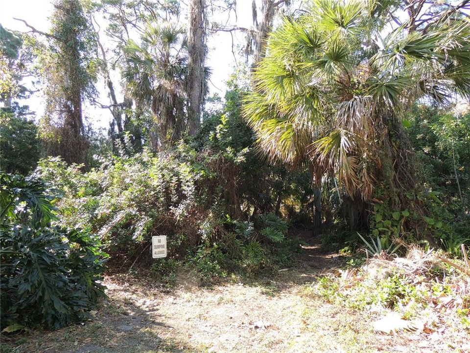 Lot #5 6th st. Heasley Rd Side (East Side) Front Corner View showing Path through the trees along the front of the lot.