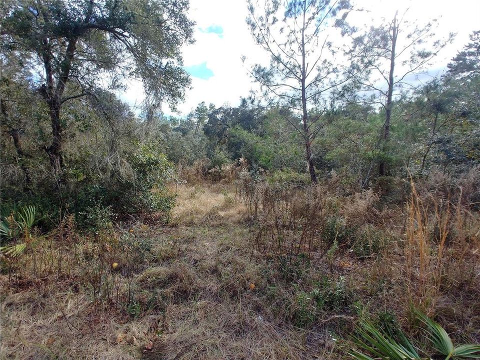Recently Sold: $7,000 (0.20 acres)
