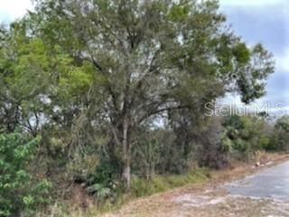 Recently Sold: $19,750 (0.34 acres)