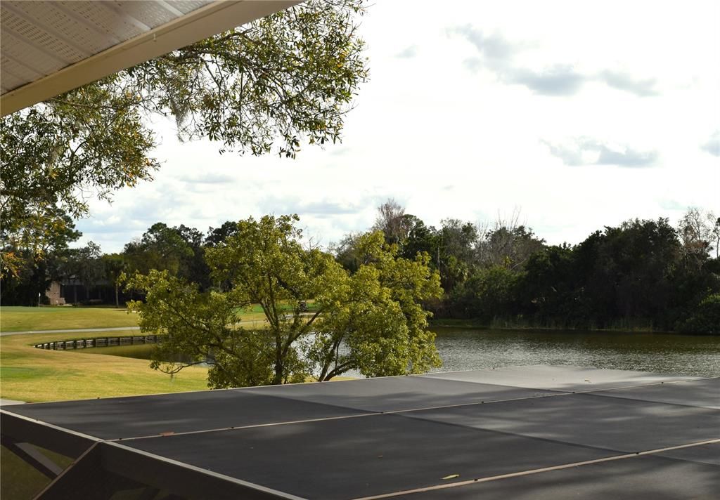 View of the pond