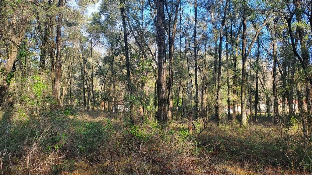 Recently Sold: $10,000 (0.41 acres)