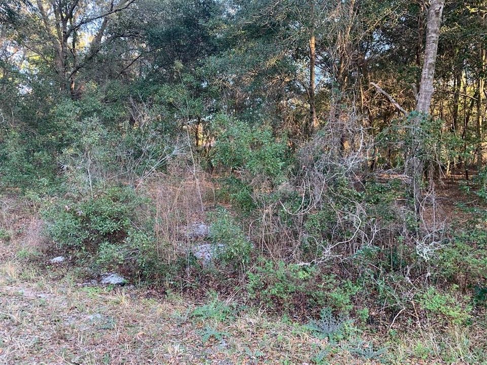 Recently Sold: $7,900 (0.29 acres)
