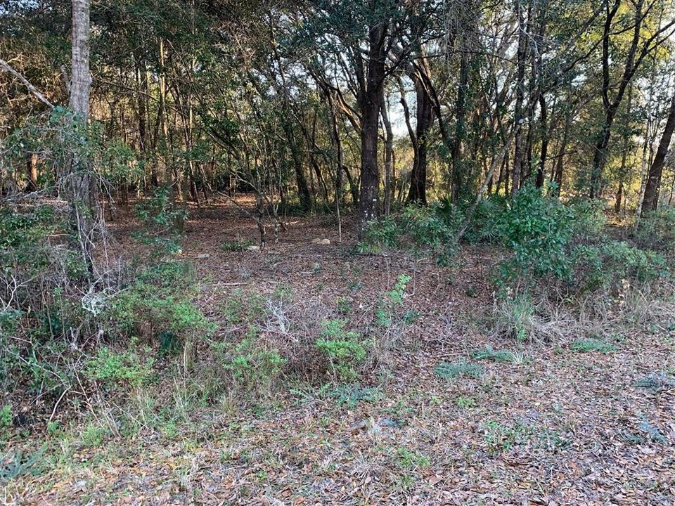 Vendido Recientemente: $7,900 (0.29 acres)