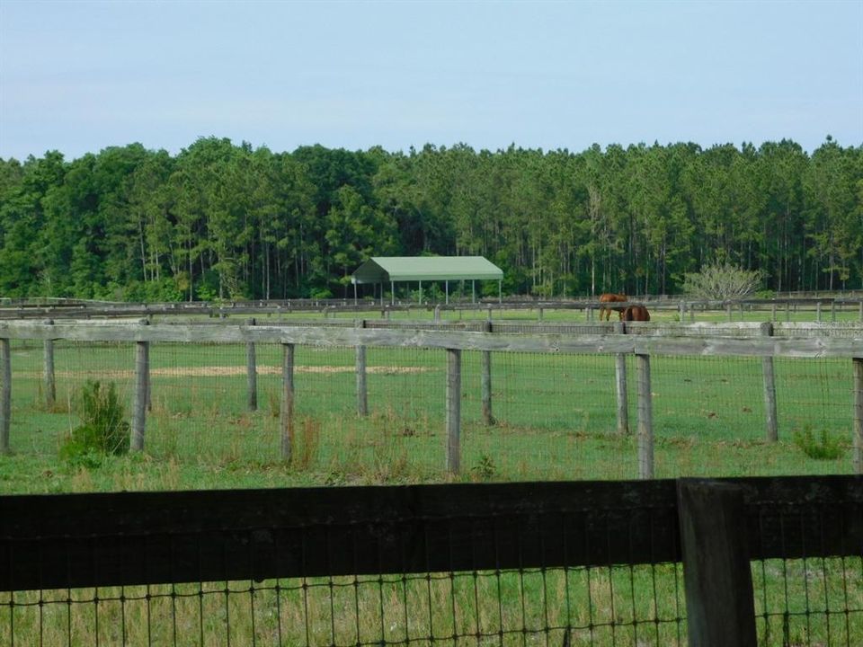 View from back of barn