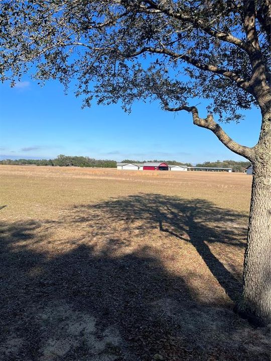 Grass Roots Rd - Lot 14 looking onto runway