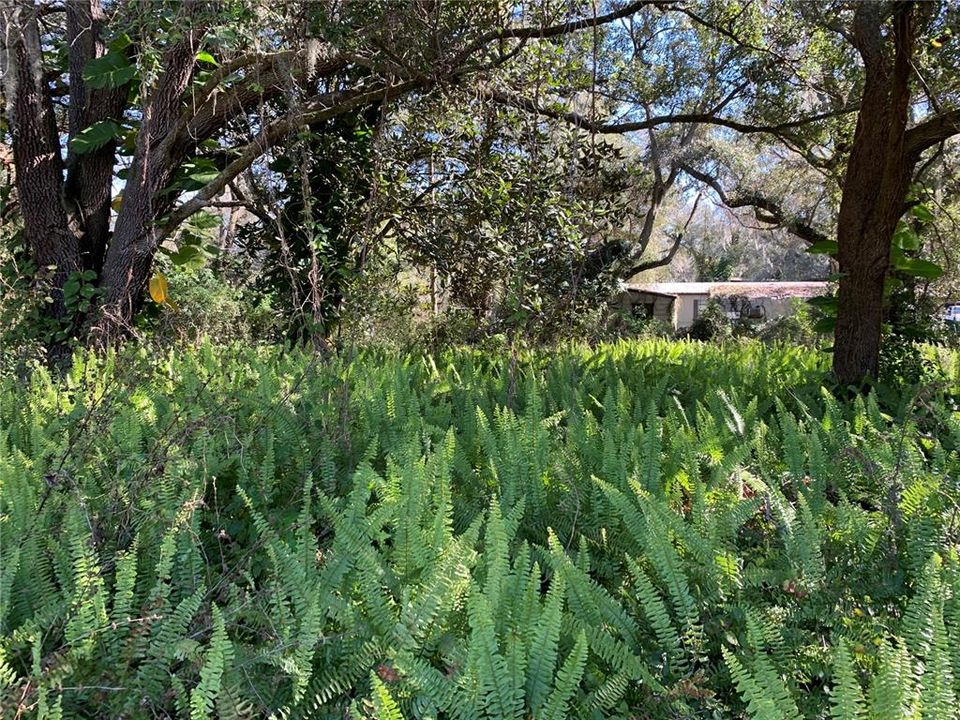 На продажу: $850,000 (3 спален, 2 ванн, 1811 Квадратных фут)