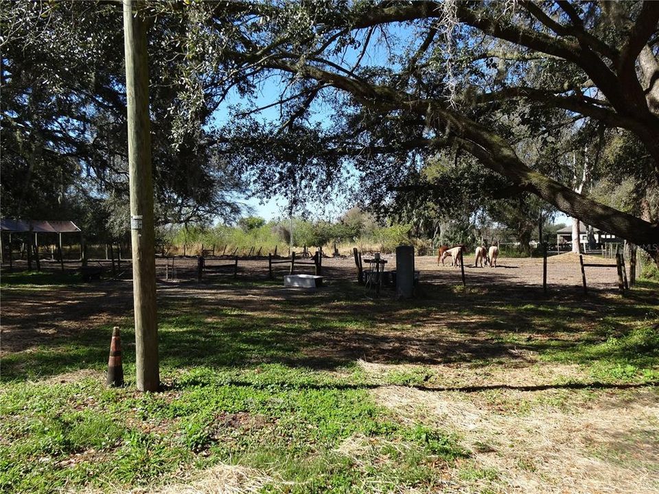 На продажу: $850,000 (3 спален, 2 ванн, 1811 Квадратных фут)