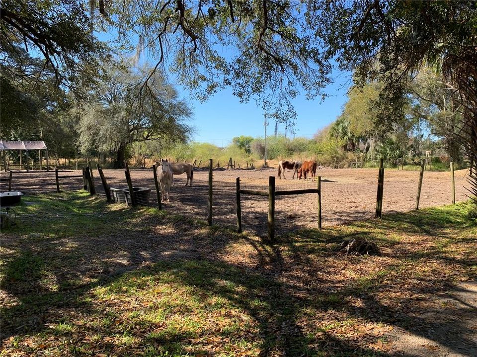 На продажу: $850,000 (3 спален, 2 ванн, 1811 Квадратных фут)