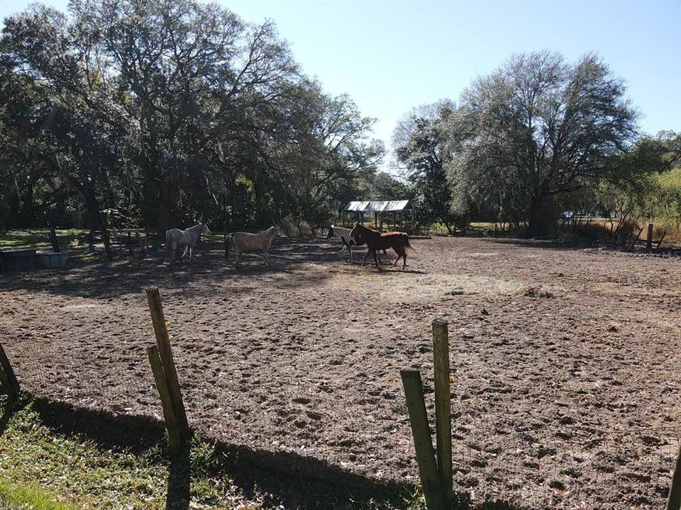 На продажу: $850,000 (3 спален, 2 ванн, 1811 Квадратных фут)