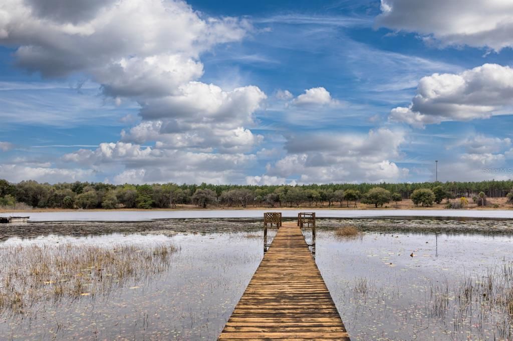 Long Dock