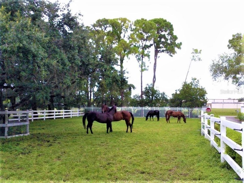 Vendido Recientemente: $1,650,000 (4 camas, 4 baños, 5263 Pies cuadrados)