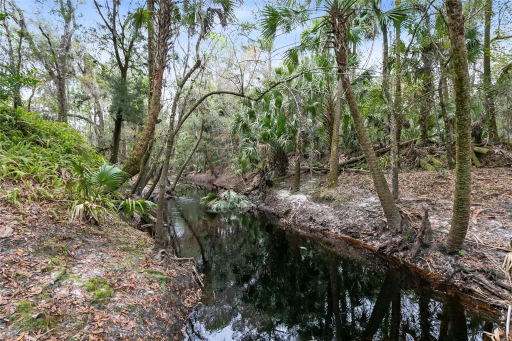 Deep Creek runs along the entire side of the property