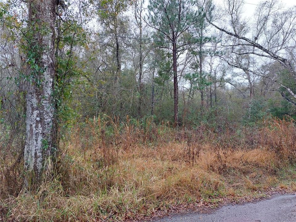 Wonderful 1 Acre Homesite in Northern Pasco County. Just 5 Minutes to Suncoast Highway, Hospital, and Shopping