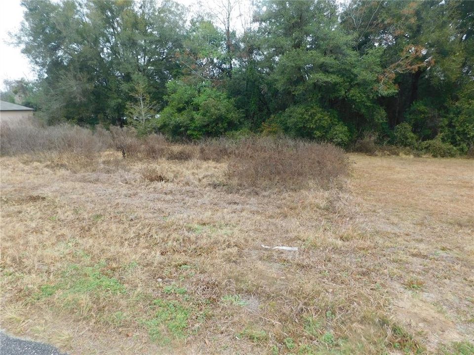 Recently Sold: $30,000 (0.33 acres)