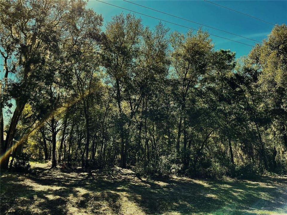 Vendido Recientemente: $48,000 (0.81 acres)