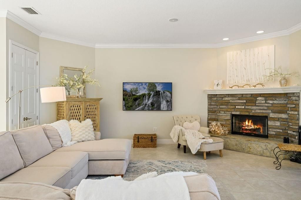 Living room and fireplace view