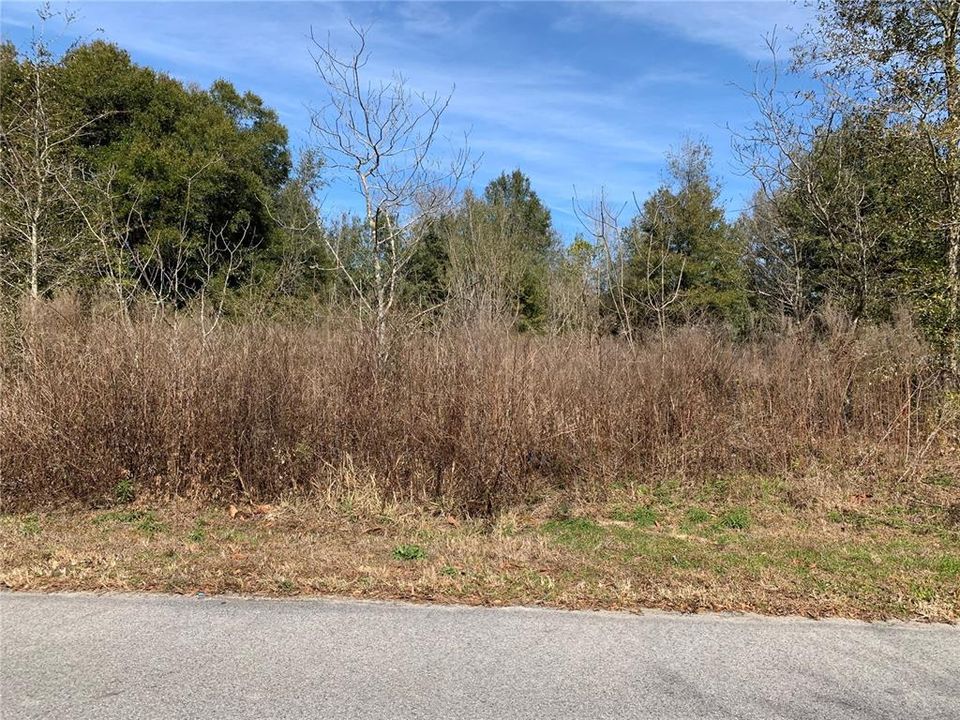 Recently Sold: $10,000 (0.17 acres)