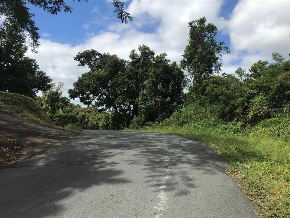 Vendido Recientemente: $44,900 (2.60 acres)