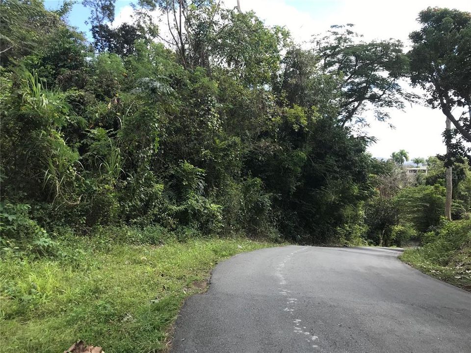 Vendido Recientemente: $44,900 (2.60 acres)