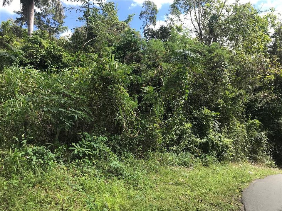 Vendido Recientemente: $44,900 (2.60 acres)